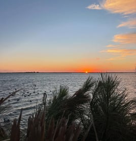 OBX Waterfowl hunting