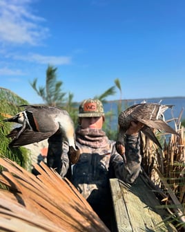 OBX Waterfowl hunting