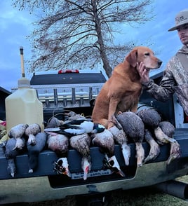 OBX Waterfowl hunting