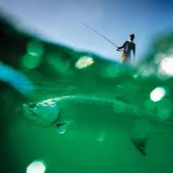 TARPON SEASON 2025 - Book now! 4 Hour Sunrise