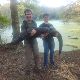 Alligator Hunting in St. Augustine, Florida