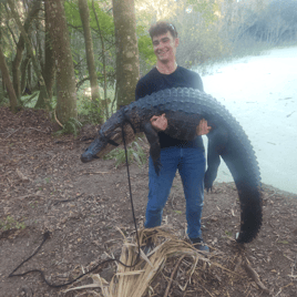 Sport Alligator Hunt 7Ft-7FT11in