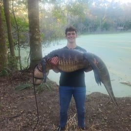 Alligator Hunting in St. Augustine, Florida