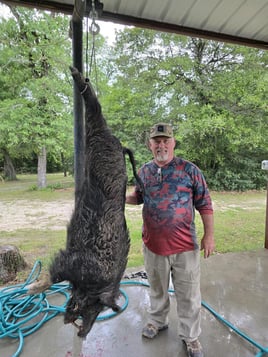 Hog Hunting in Groesbeck, Texas