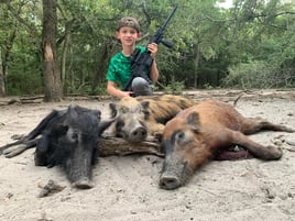 24 Hour Hog Hunt w/Lodging