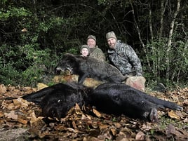 24 Hour Hog Hunt w/Lodging