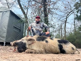 24 Hour Hog Hunt w/Lodging