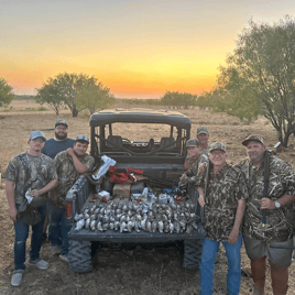 Rising Star Dove Hunts w/ Lodging