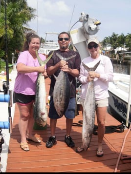 Blackfin Tuna, Kingfish, Mahi Mahi Fishing in Pompano Beach, Florida