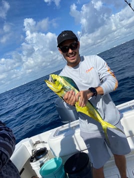 Mahi Mahi Fishing in Pompano Beach, Florida