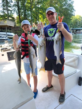 Smith Mountain Lake Striped Bass