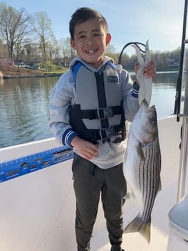 Smith Mountain Lake Striped Bass