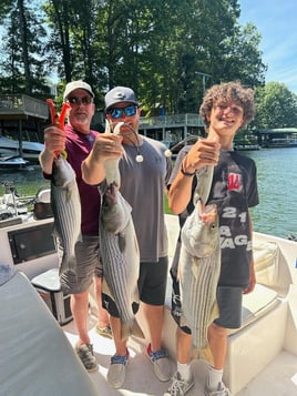 Smith Mountain Lake Striped Bass