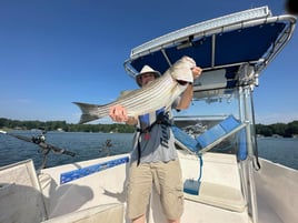 Smith Mountain Lake Striped Bass