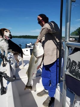 Guided Fishing Services For Striped Bass