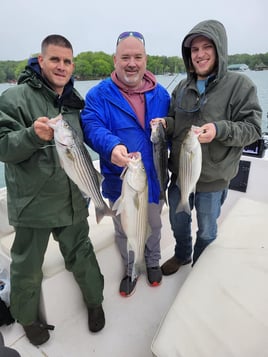 Smith Mountain Lake Striped Bass