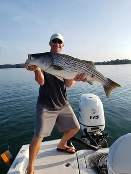 Guided Fishing Services For Striped Bass