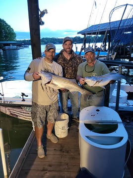 Smith Mountain Lake Striped Bass