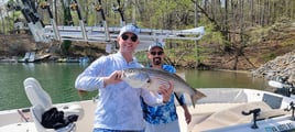 Smith Mountain Lake Striped Bass