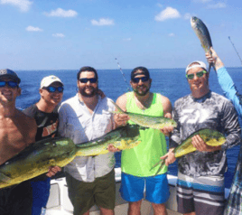 Mahi Mahi Fishing in Stock Island, Florida