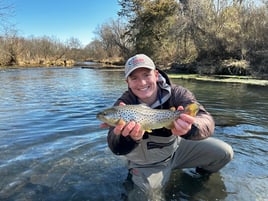 Western Virginia River Wading Trip