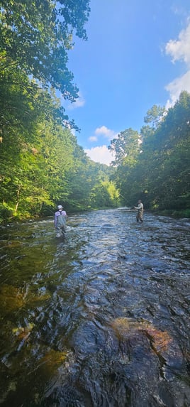 Half day fly fishing experience