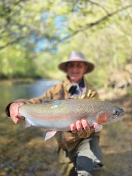 Half day fly fishing experience