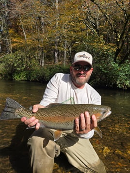 Half day fly fishing experience