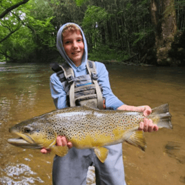 Trophy trout fly fishing experience