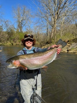 Trophy trout fly fishing experience