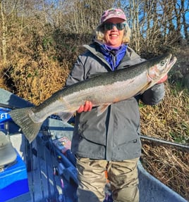 Willamet spring chinook