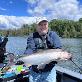 Willamet spring chinook