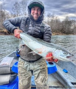 Willamet spring chinook