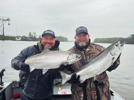 Willamet spring chinook