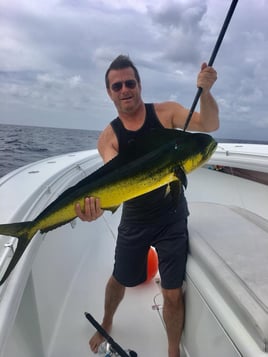 Mahi Mahi Fishing in Key West, Florida