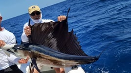 Key West Big Game Fishing