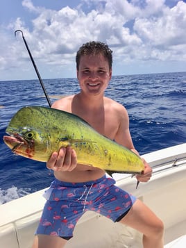 Mahi Mahi Fishing in Key West, Florida