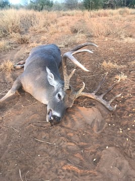 South Texas Deer Hunts