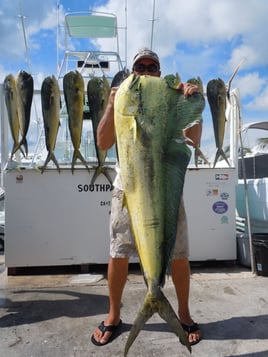 Mahi Mahi Fishing in Key West, Florida