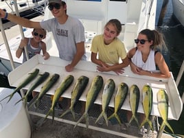 Mahi Mahi Fishing in Key West, Florida