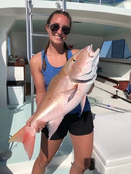 Mutton Snapper Fishing in Key West, Florida