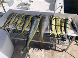 Key West Mixed Bag Trip