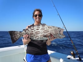 Black Grouper Fishing in Key West, Florida