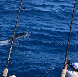 Dawn to Dusk Key West Fishing Trip