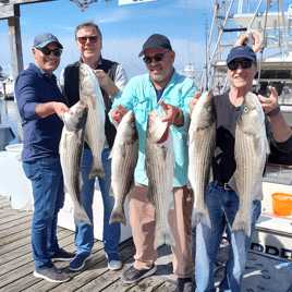 Twilight Striped Bass & Bluefish