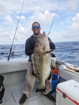 Key West Offshore Action