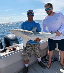 Key West Offshore Action