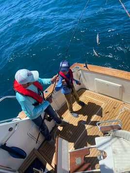 Half day - Reef fishing