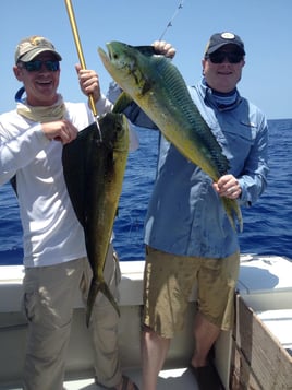 4-8 Hour – Mahi, Tuna, Billfish