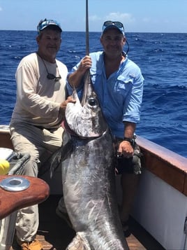 4-8 Hour – Mahi, Tuna, Billfish